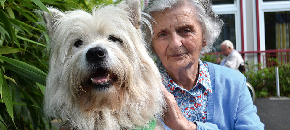 Therapiehund Nanouk mit älterer Dame